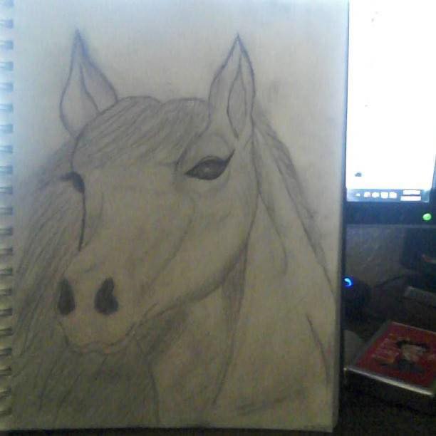 Horse Portrait