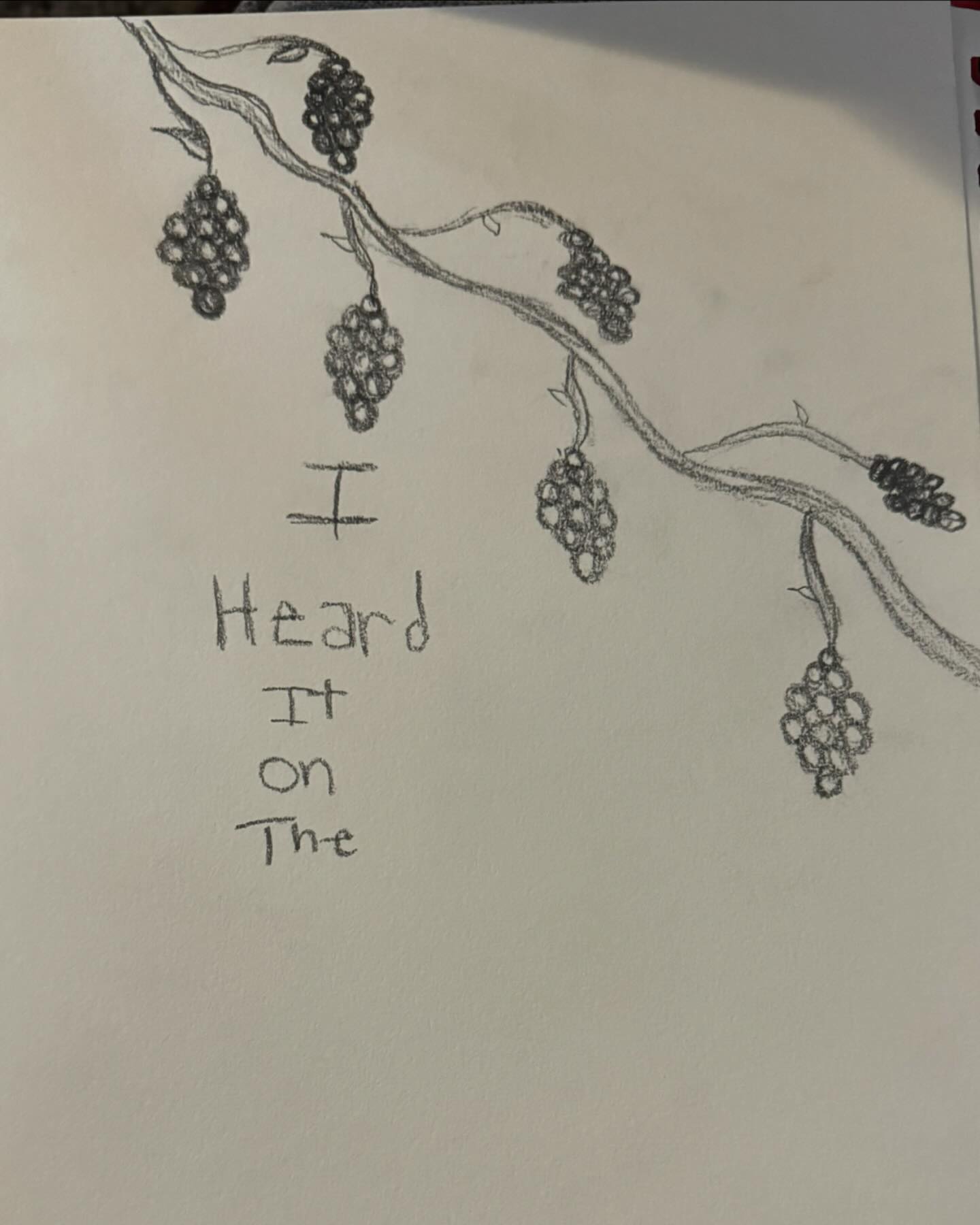 Grape Vine