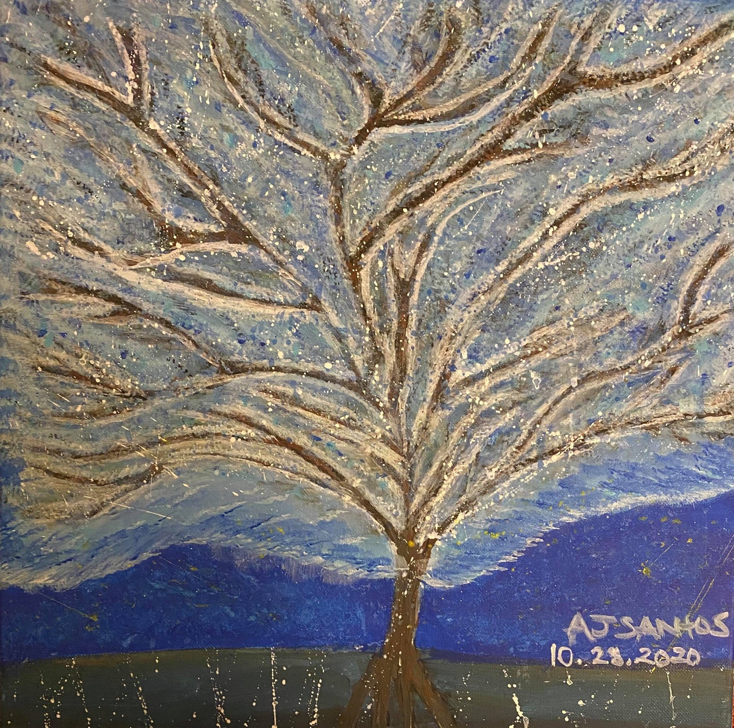 16 X 20 - BlueSky