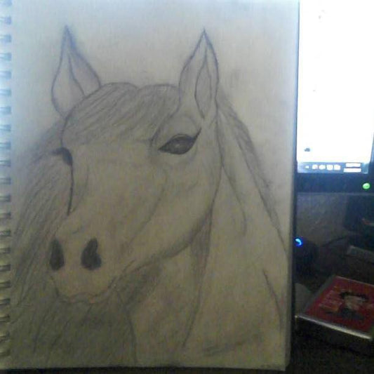 Horse Portrait
