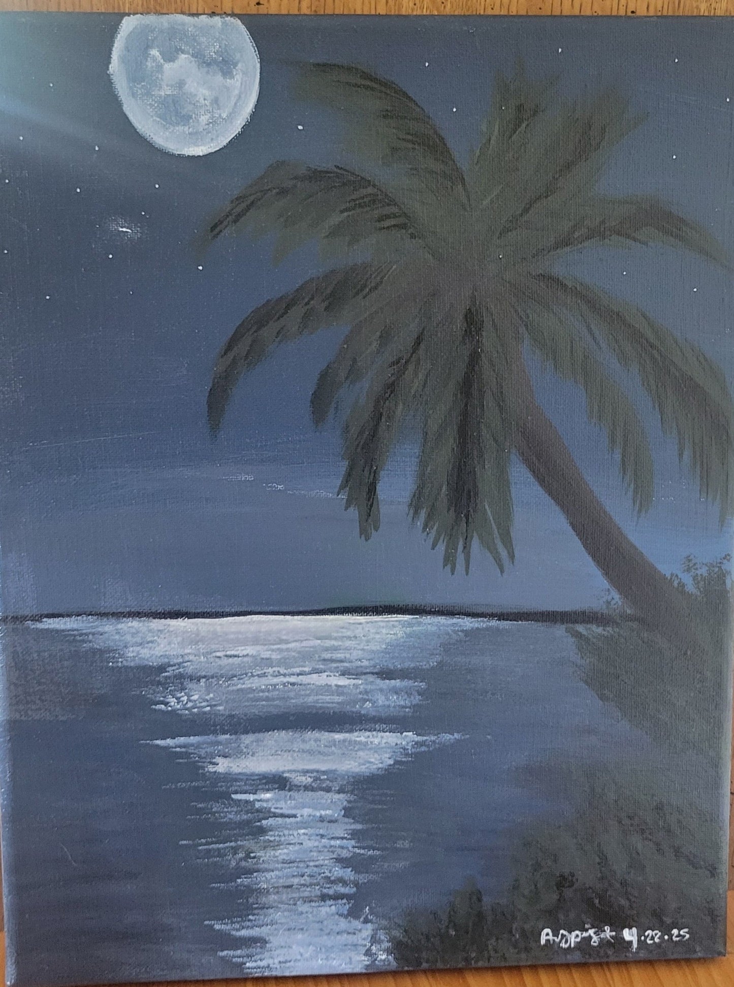 9x12 Island Moonlight