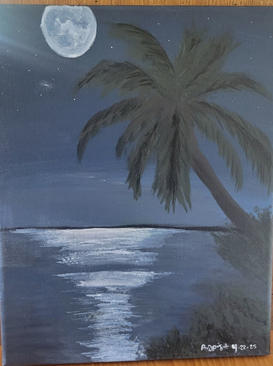 9x12 Island Moonlight