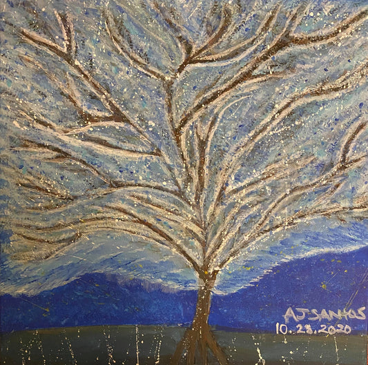 16 X 20 - BlueSky
