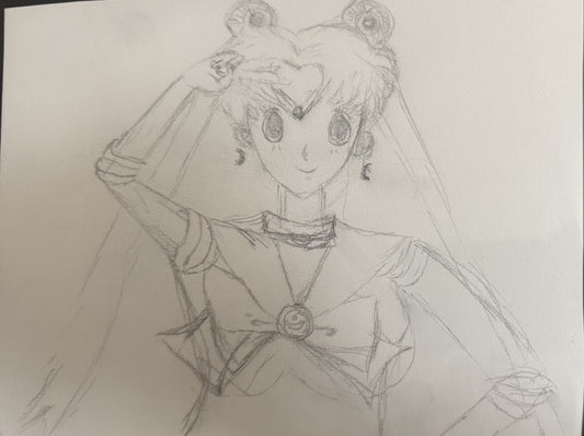 Inspired Sailor Moon